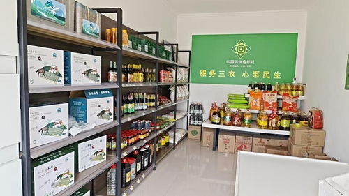 阿克塞供銷社變身幸福驛站 農牧民直呼離不開